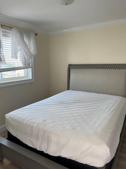 Hampton Beach Ocean Front Condo At The Surf Экстерьер фото